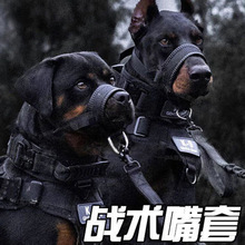 狗狗嘴套可喝水马犬德牧中大型犬防咬防乱吃口套拉布拉多杜宾嘴套