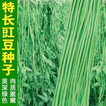 ժLǷNļ߮aLǾGǷNӴ＾߲˷N