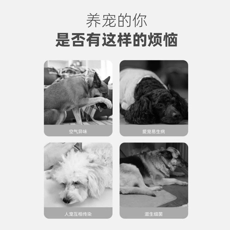 サイエンスペット濃縮液犬消臭剤消臭モップ室内犬猫消臭濃縮バケツ1l|undefined