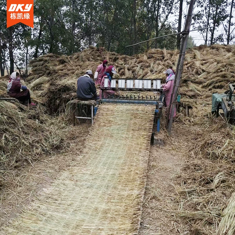 Увлажняющий соломенный занавес для защиты от песка и борьбы с песком