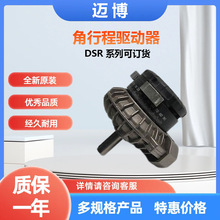 FESTO费斯托角行程驱动器DSR-40-180-P 气缸全新原装现货具体询价