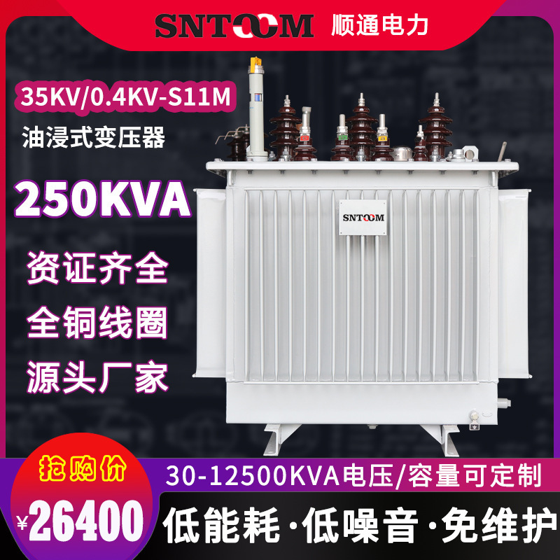 S11M大型工业油浸式电力配电变压器250户外高压35kv315全铜250kva