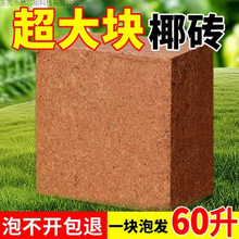 ���KҬ�u�I�B���B����Ҭ�Ӛ�����Ү�u�N������Ó�}Ҭ���u