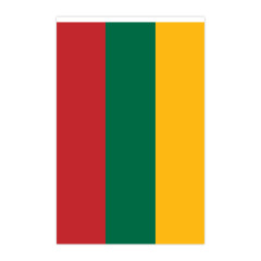 Lithuanian chain flag square fan flag 14*21cm, 20*28cm hanging flag polyester pull-up flag, factory wholesale