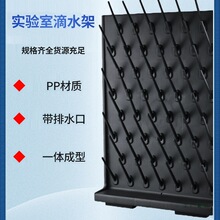 加厚化验室用品置物架双面pp滴水架实验室沥水架烧杯架杯子收纳架