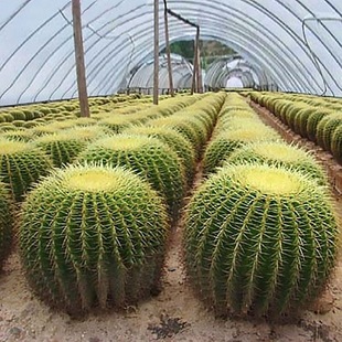 ����������������ԾGֲ���ܶ����_���k���������ݗ������ȩ