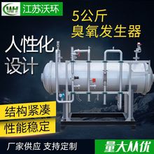 大型臭氧发生器 大型臭氧处理器 废气脱硝大型臭氧设备现货批发