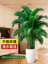 ɢβ��ֲ�����Կ͏d�Gֲ�߶˴���ϙn�κ��B�׻��ļ��҃ȴ�̖�辰