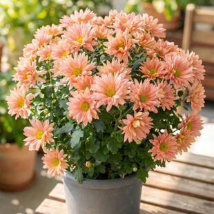 ���m�����Լ�С���̨���ܶ������r���ļ��_���ױ���ջ�������