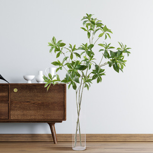 ����Gֲ �R��ľ ���W�Ҿ�ܛ�b�����ձ����R������~�zӰ���߼٘�