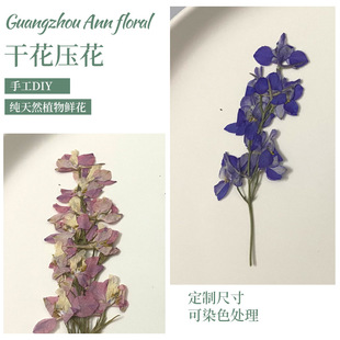 Pink and Purple Swallow Dried Flowers with Branches, Embossed Family Activities, Dried Flower Plant Specimens, Embossed Handmade DIY Materials