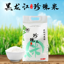 黑龙江圆粒珍珠大米 25年秋季新米5kg10斤 东北现磨粳米 厂家直批