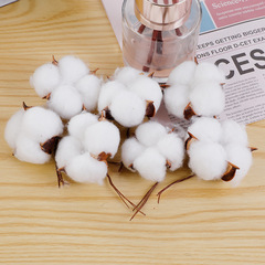 綿の乾いた花の綿の花束は綿の乾いた花のdiy新疆の綿のクリスマスの花束をシミュレーションして綿の頭をシミュレーションします。