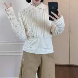 秋冬韩系慵懒高级感翻领绞花收腰显瘦百搭针织上衣白色加厚毛衣女