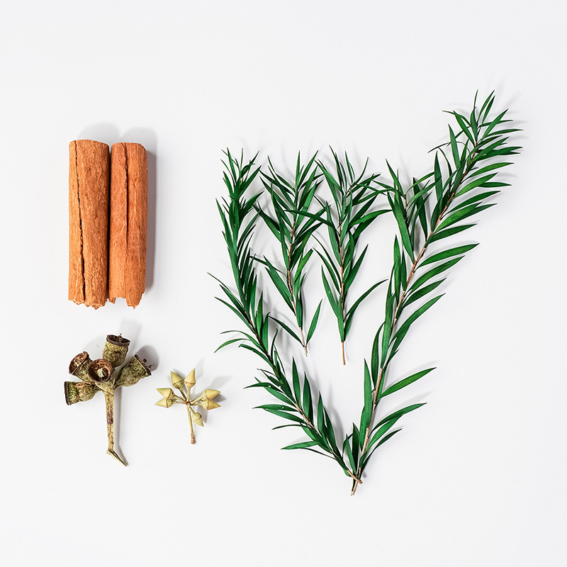 Paquete de materiales de flores secas (canela corta * 2 + lazanina * 3 + 1 fruto de campana + 1 fruta de arroz)
