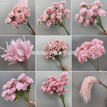 ĵ����õ�廨ˇ���滨��ɫϵ���Ļ�Y���b������Ż�·�����廨