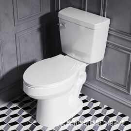 Toilet工厂北美南美东南亚菲律宾分体式马桶工装外贸地排虹吸座便