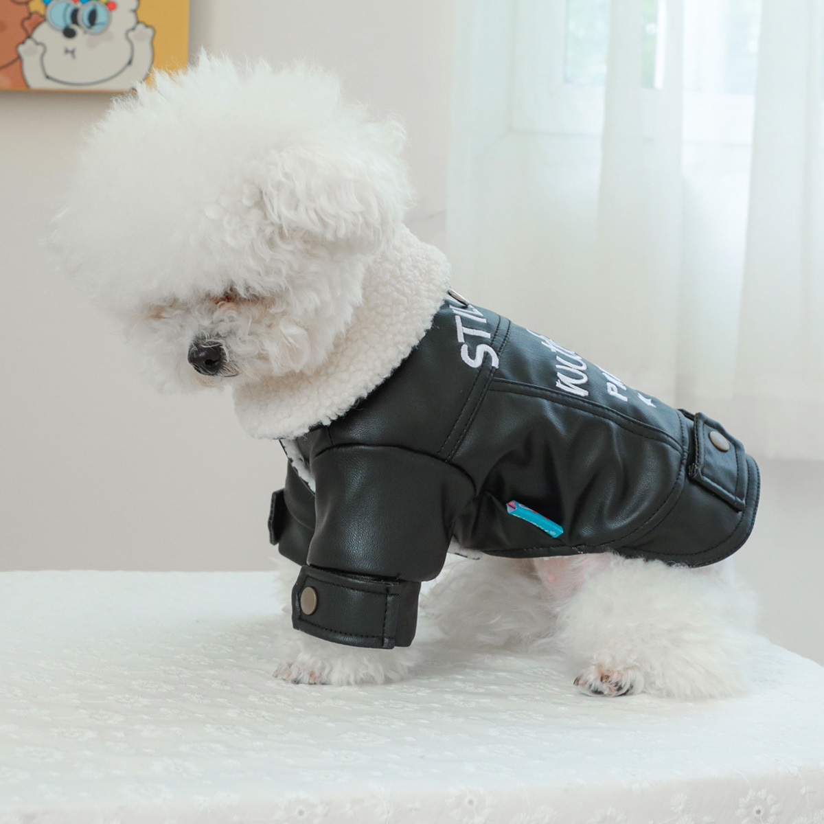 PETCIRCLE 강아지 고양이 겨울 기모 보온 패딩 솜옷 대형 무스탕 애완동물 옷