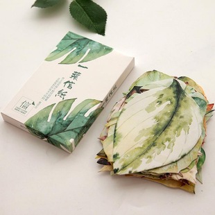 信的恋人一叶信纸系列树叶形状异形卡片墙面装饰留言卡背面空白款-阿里巴巴