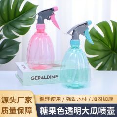 家用小喷壶洒水壶细雾浇花洒壶雾壶多肉植物手压式喷水壶浇花喷壶