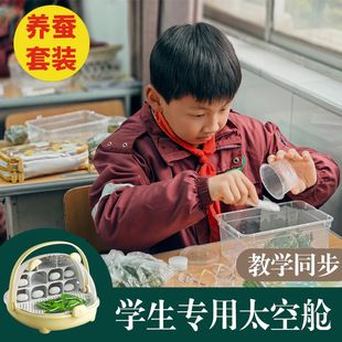 �Q�������Q������Ȼ��ɫ�Q���Q���Q�����l�W���ƌW�B�Q̫��œ���b