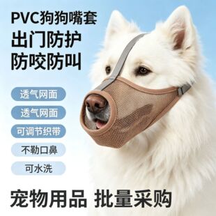 ����������ַ�ҧ�����Ły�Թ�������ֹ����С��Ȯ�����׿羳����