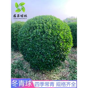 ���~�������߅�S�����ļ����ඬ������ͥԺ�����h�ʘ�G����ľ��