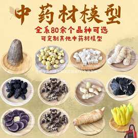 医科标本中医药材谱模型橱窗医学陈列标本院校中医科学院医学院校