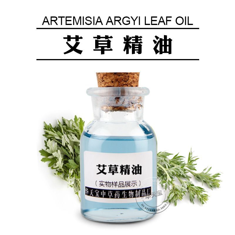 艾草精油 艾叶油  蒸馏提取蕲艾 浅蓝色或蓝色 1KG 艾草原油厂家