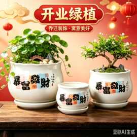 德化陶瓷发财文字花盆带托盘室内绿植盆景盆家用多肉盆栽批发