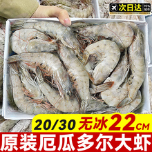 厄瓜多尔白虾大虾鲜活速冻盐冻南美白虾基围虾海虾对虾类海鲜