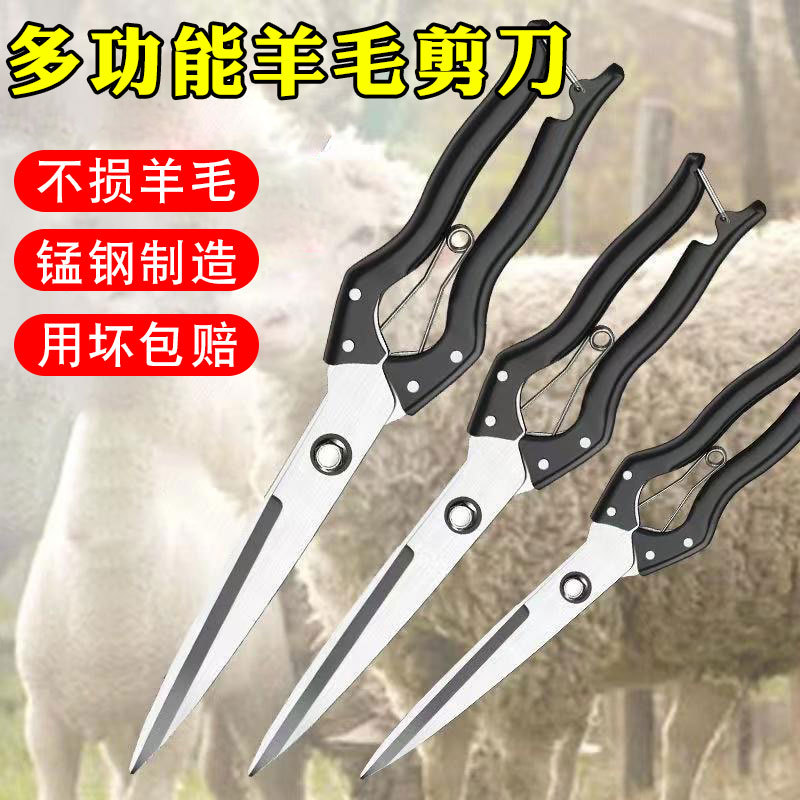 微信图片_20240219161116