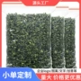 安溪原产地500g新茶