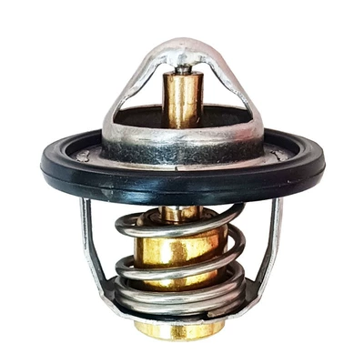 Thermostat, Thermostat