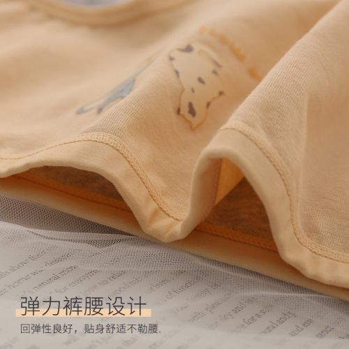 Sanitary period underwear for women, leak-proof during menstruation, large Auntie pants, pure cotton bottom, mid-rise, pure cotton for girls, supports dropshipping