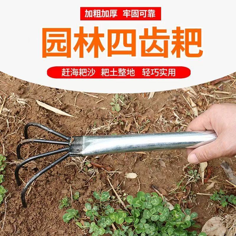 微信图片_202505071341363.jpg