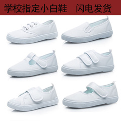 2024 Spring Kindergarten Children's Canvas Shoes Large Size Children's Shoes Small White Shoes Dance Shoes Children's White Cloth Shoes Wholesale