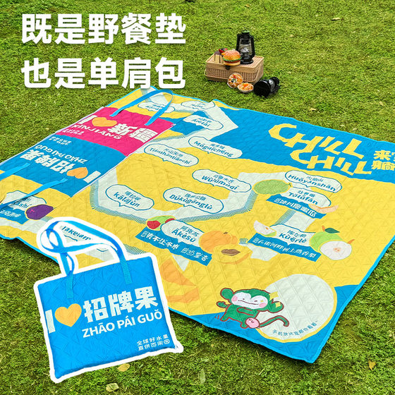 Folding portable backpack picnic mat ultrasonic thickened outdoor camping portable zipper multifunctional moisture-proof floor mat