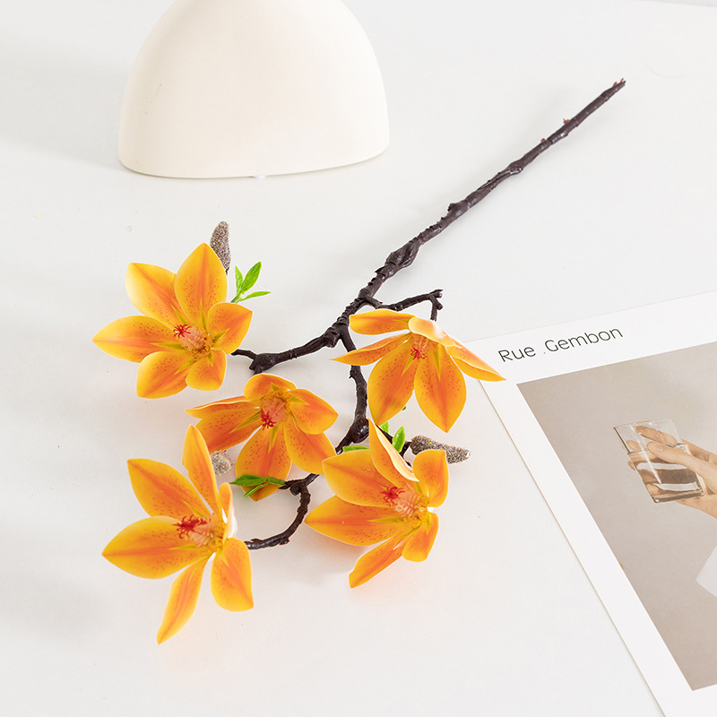 五头小玉兰 桔色 (1).JPG