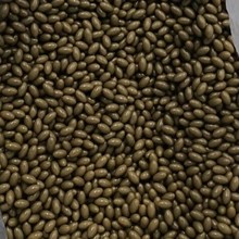 ��ɫ���zܛ�z�Ҹߺ������z��