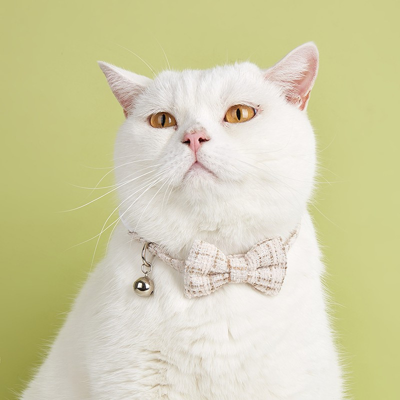 New Cat Collar, Cat Bell Collar, Dog Collar, Pet Collar, Cute Collar, Cat Bow, Adjustable Collar New Cat Collar, Cat Bell Collar, Dog Collar, Pet Collar, Cute Collar, Cat Bow, Adjustable Collar