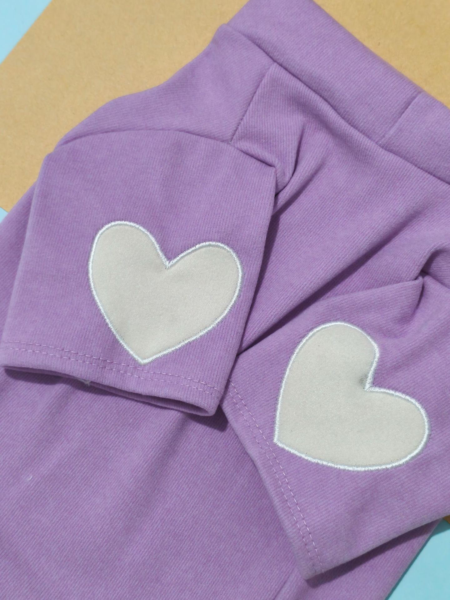 Ropa de mascotas Ropa de perro Ropa de perro Ropa de perro Ventas calientes Ropa de gatos Teddy York Chaubo Virtuoso Otoño Invierno