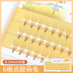 6-Pronged Glue-On Flowers with 0.07mm Fairy-Like Petals—Instant Blooming, Perfect for Grafting Eyelashes, Wholesale at Beauty Salons