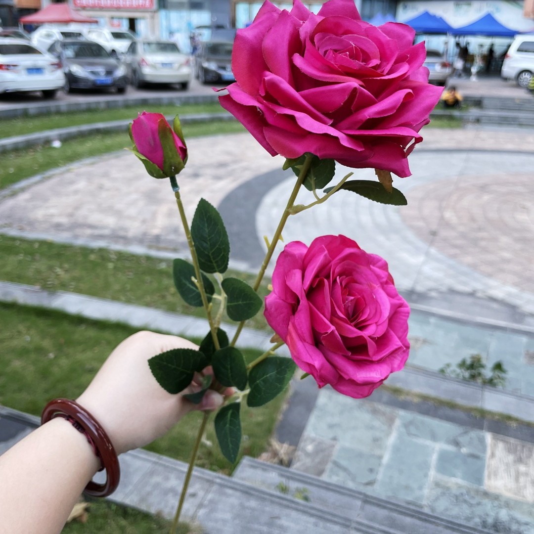 3-cabeza diamante Rosa profundo rojo rosa