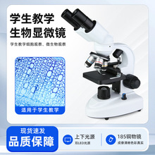 中小学生教学显微镜专业级实验室生物高倍光学可看细菌双目显微镜