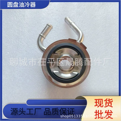 Manufacturer Sells Stainless Steel Oil Cooler 21305-Jd01B Suitable for Nissan 21305-Jd02C (car radiator)