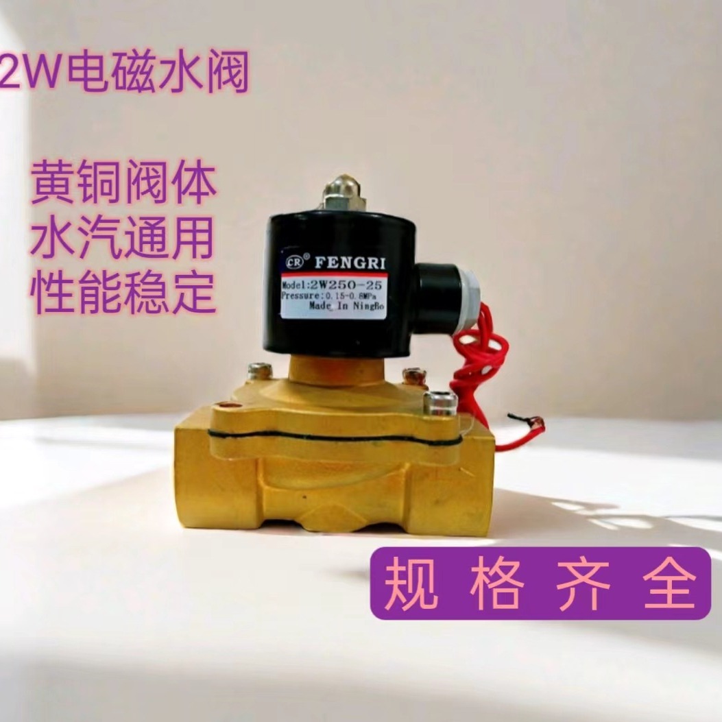 2w系列电磁阀水阀二位二通2W250-25电磁阀铜阀气阀