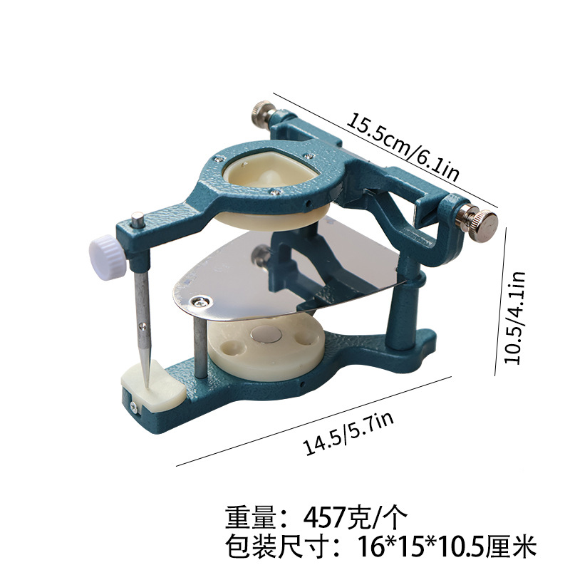 Modelo de irrigación de dientes grandes y pequeños de la técnica de la cavidad oral promedio de descomposición de planillación de la técnica
