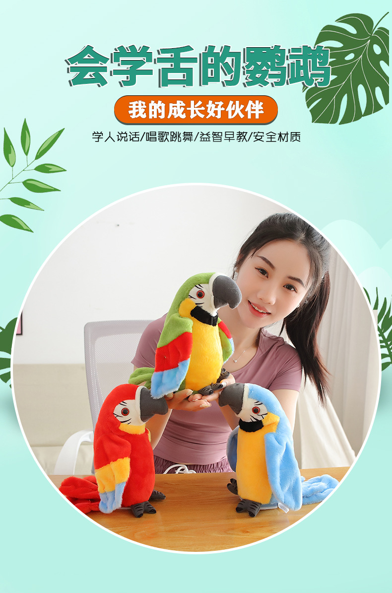 学舌鹦鹉_01.jpg