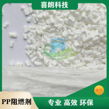 PP��|����K��ȼĸ��